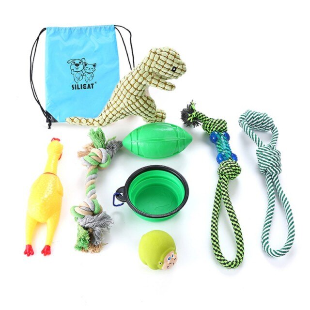 Collezione di Giochi per Animali Domestici