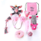Collezione di Giochi per Animali Domestici
