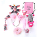 Collezione di Giochi per Animali Domestici